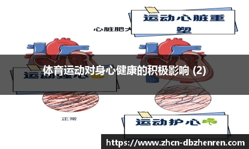 DB真人