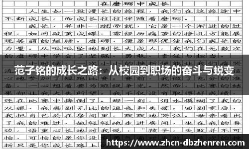 DB真人官网
